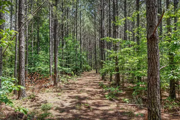 0 Hudson Rd, Hohenwald, TN 38462