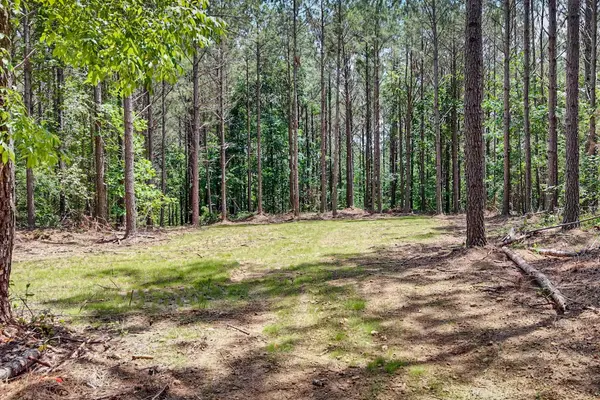 0 Hudson Rd, Hohenwald, TN 38462