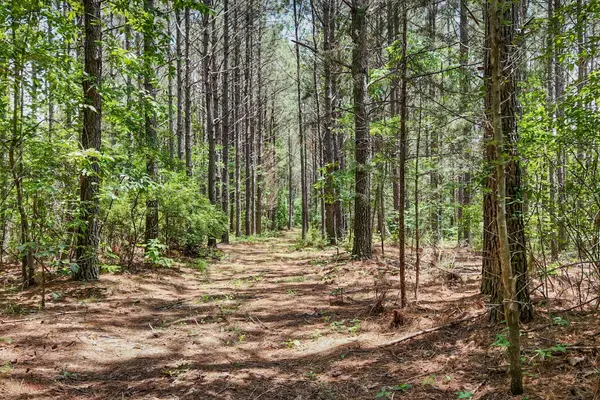 0 Hudson Rd, Hohenwald, TN 38462