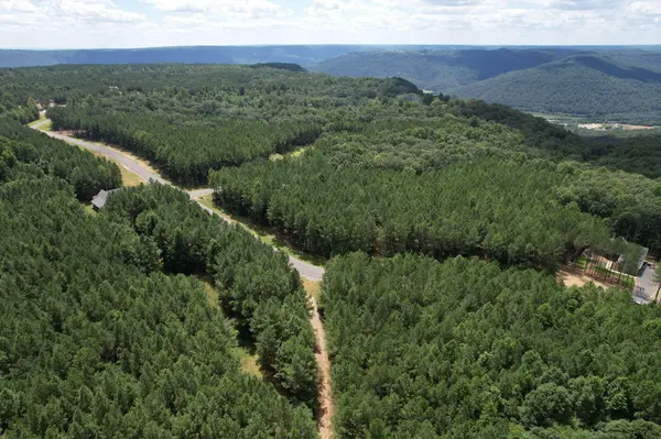 0 Crockett Point, Jasper, TN 37347