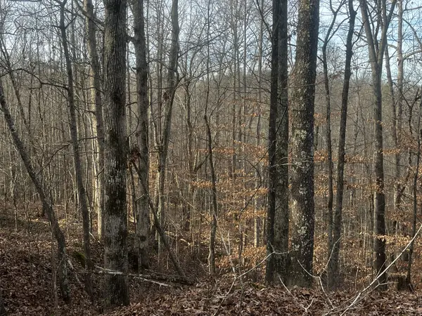 1 Old State Hwy 69, Sugar Tree, TN 38380