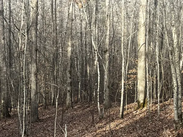 1 Old State Hwy 69, Sugar Tree, TN 38380