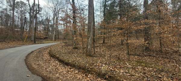 1 Tobaccoport Circle, Bumpus Mills, TN 37028
