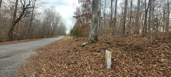 1 Lakeshore Cir, Bumpus Mills, TN 37028