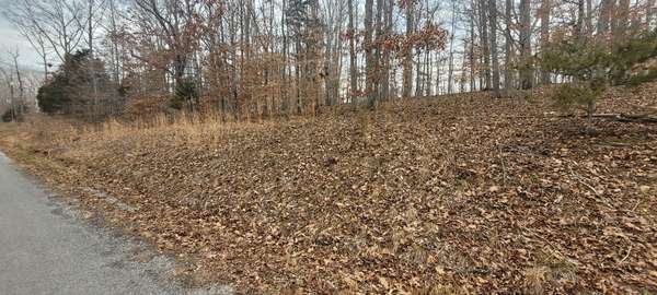 1 Lakeshore Cir, Bumpus Mills, TN 37028