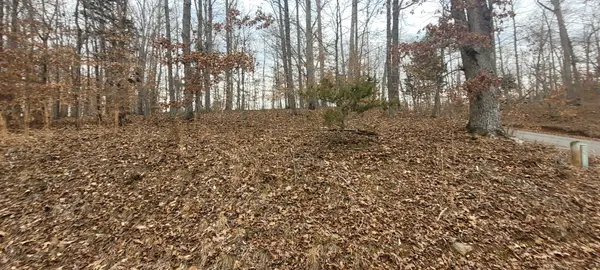1 Lakeshore Cir, Bumpus Mills, TN 37028
