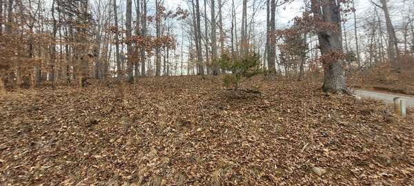 1 Lakeshore Cir, Bumpus Mills, TN 37028