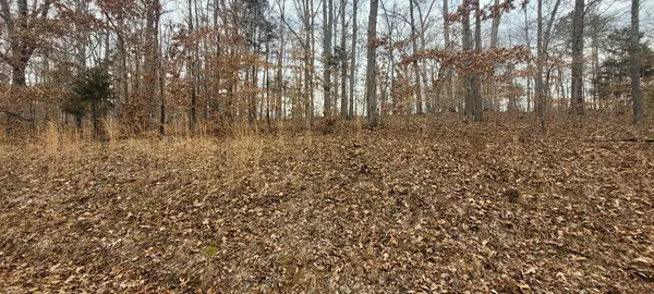 1 Lakeshore Cir, Bumpus Mills, TN 37028