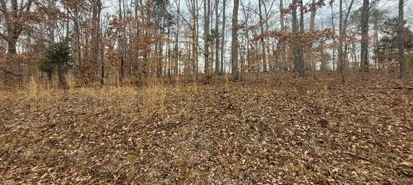 1 Lakeshore Cir, Bumpus Mills, TN 37028