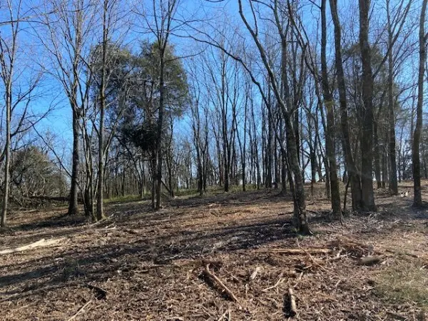 0 Huntsville Hwy, Fayetteville, TN 37334