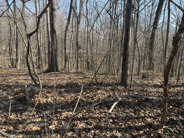 0 Tennis Court Center, Smithville, TN 37166