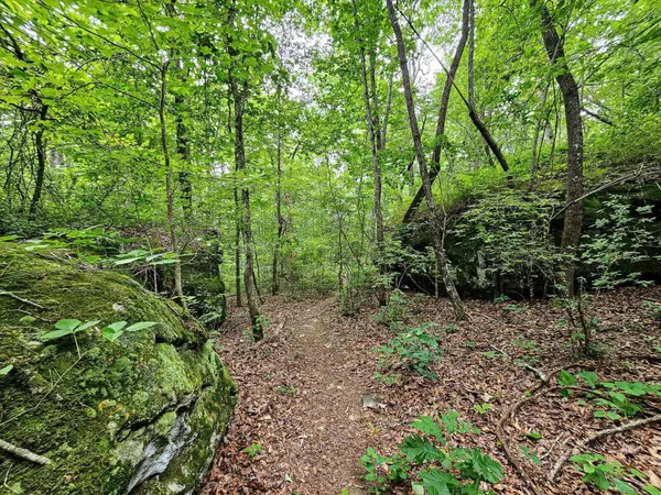0 Hwy 157, Menlo, GA 30731