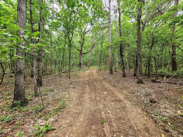 0 Hwy 157, Menlo, GA 30731