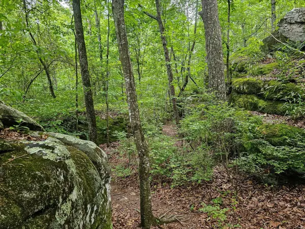 0 Hwy 157, Menlo, GA 30731