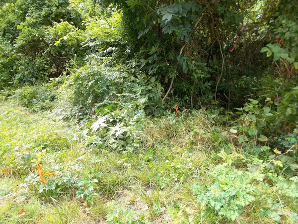 0 W Walnut St, Dickson, TN 37055