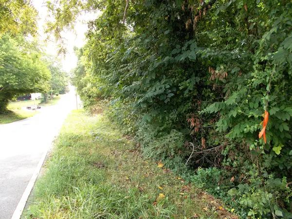 0 W Walnut St, Dickson, TN 37055