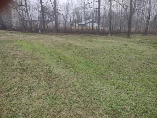 59 Lakeside Ln, Decaturville, TN 38329