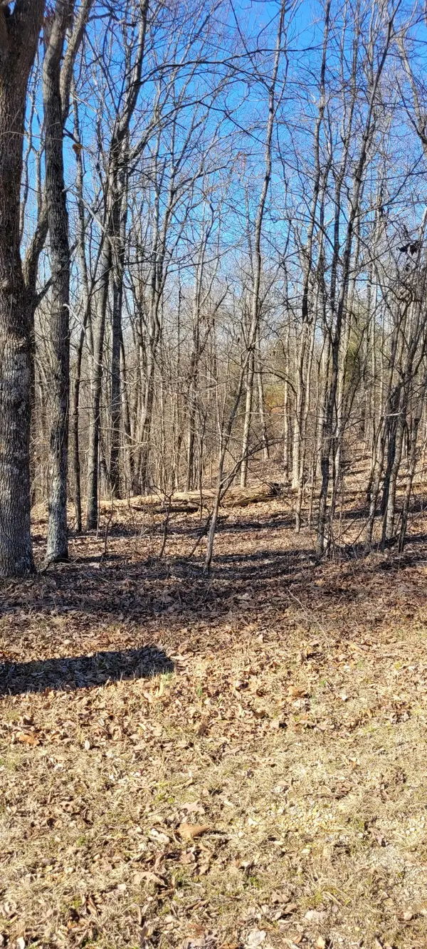 1 Eagle Shore Dr, Dover, TN 37058