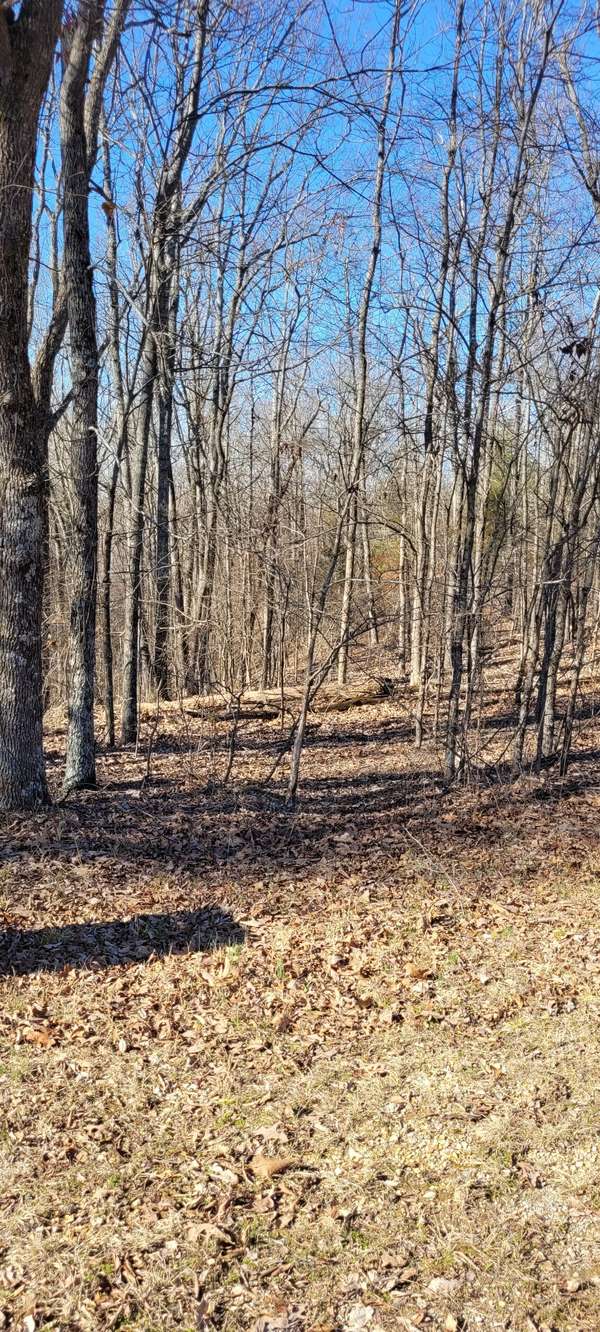 1 Eagle Shore Dr, Dover, TN 37058