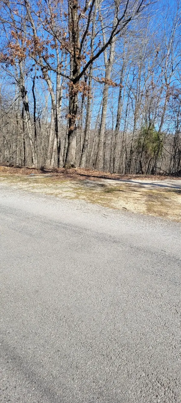1 Eagle Shore Dr, Dover, TN 37058