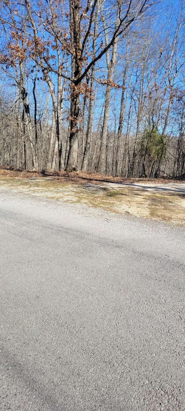 1 Eagle Shore Dr, Dover, TN 37058