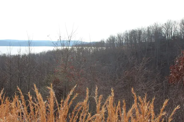 1 Golden Eagle dr, Dover, TN 37058