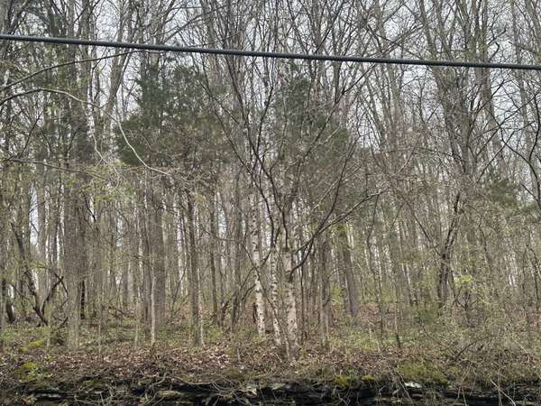 0 Hwy 49, Ashland City, TN 37015