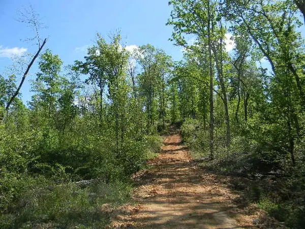 0 Ogden Road, Waverly, TN 37185