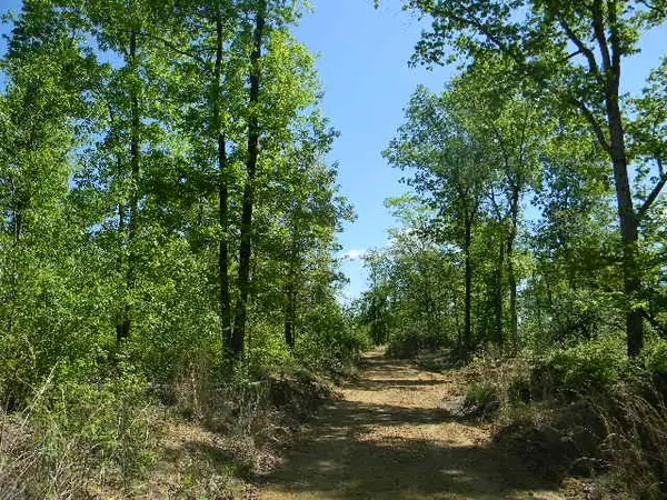 0 Ogden Road, Waverly, TN 37185