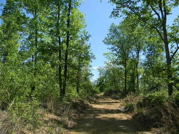 0 Ogden Road, Waverly, TN 37185