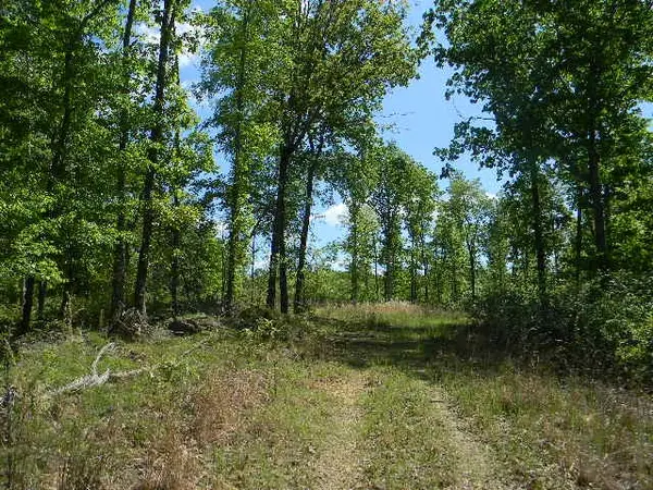 0 Ogden Road, Waverly, TN 37185