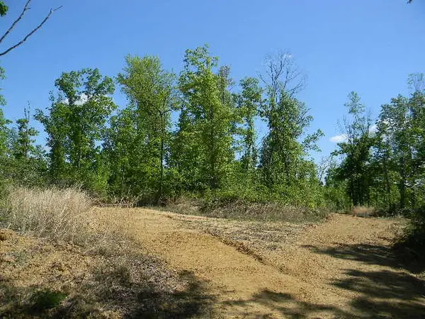 0 Ogden Road, Waverly, TN 37185