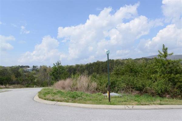 132 Nicole Drive, Dayton, TN 37321