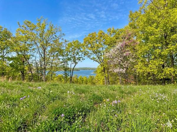100 Sunset Ridge, Waverly, TN 37185
