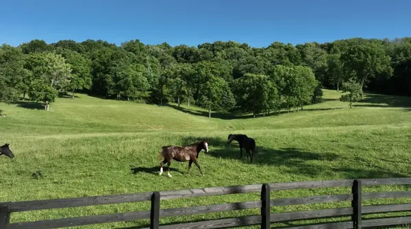 9553 Clovercroft Rd, Franklin, TN 37067