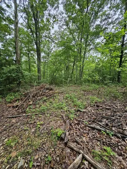 0 Dixie Ct, Holladay, TN 38341