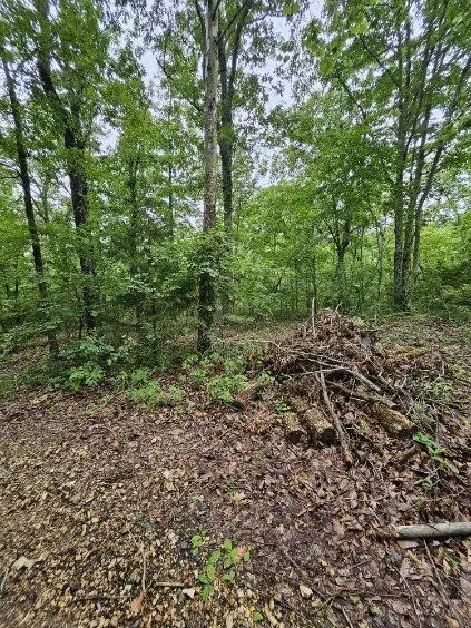 0 Dixie Ct, Holladay, TN 38341
