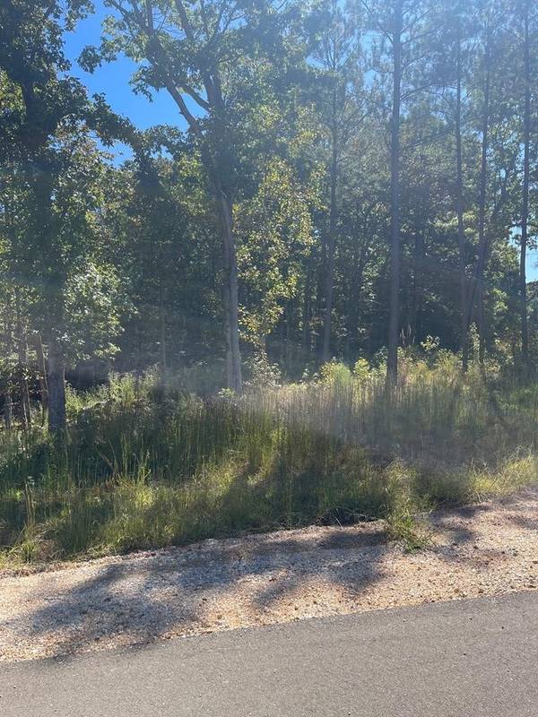 0 Beach Bluff Ln, Huntingdon, TN 38344