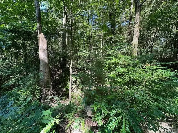 0 Cummins Rd, Eva, TN 38333