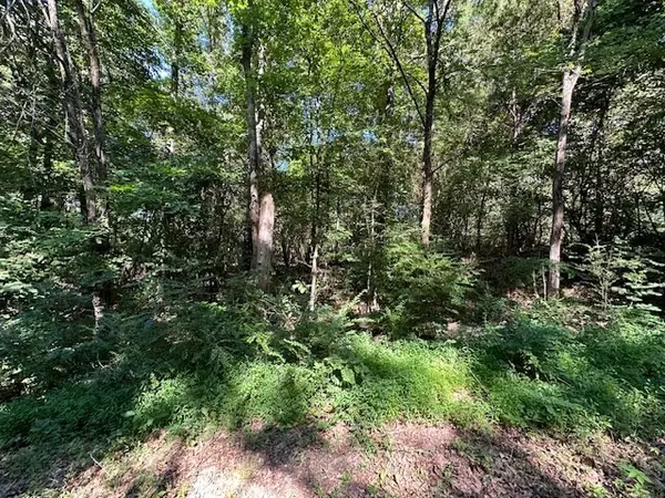0 Cummins Rd, Eva, TN 38333