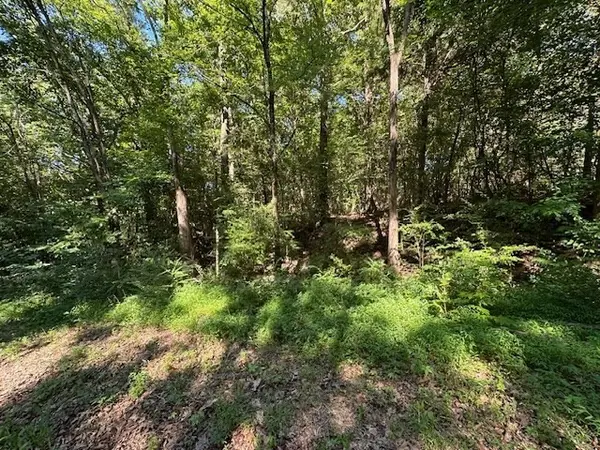 0 Cummins Rd, Eva, TN 38333