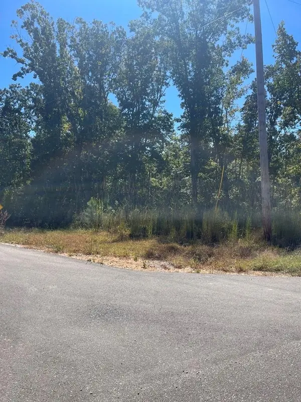 0 Beach Bluff Ln, Huntingdon, TN 38344