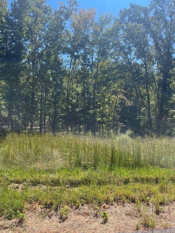 0 Lakepoint Dr, Huntingdon, TN 38344