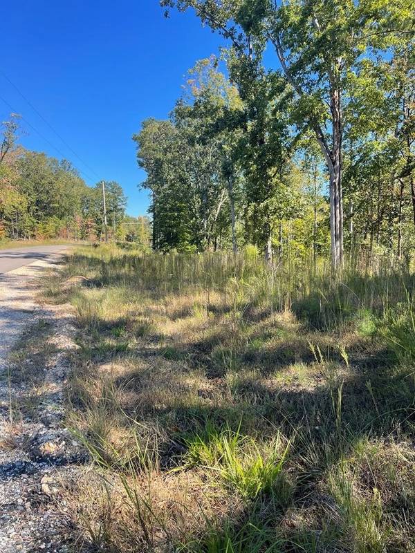 0 Lakepoint Dr, Huntingdon, TN 38344