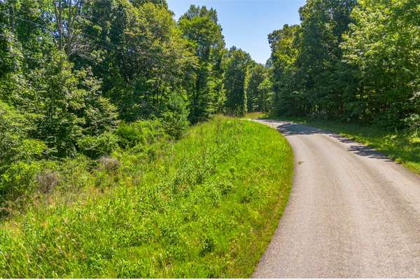 0 Chestnut Ridge Rd, Santa Fe, TN 38482