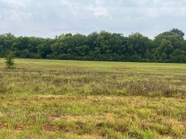 0 Pyles Rd, Chapel Hill, TN 37034