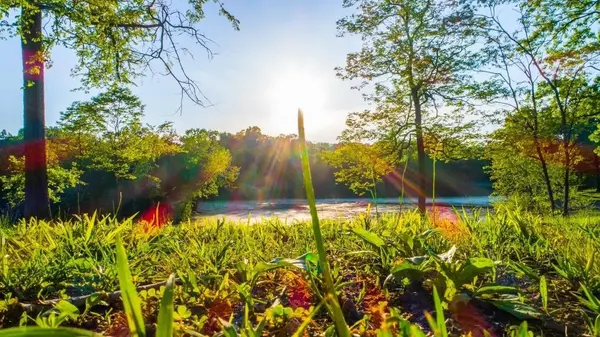 0 Forest Retreat Rd, Hendersonville, TN 37075