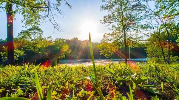 0 Forest Retreat Rd, Hendersonville, TN 37075