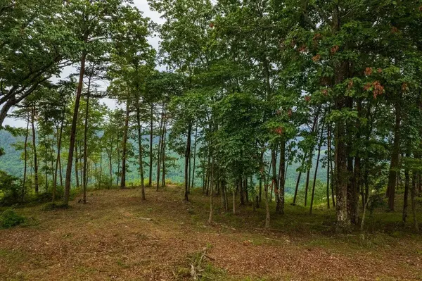 0 Crockett Point, Jasper, TN 37347