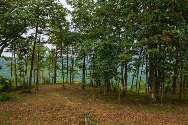 0 Crockett Point, Jasper, TN 37347